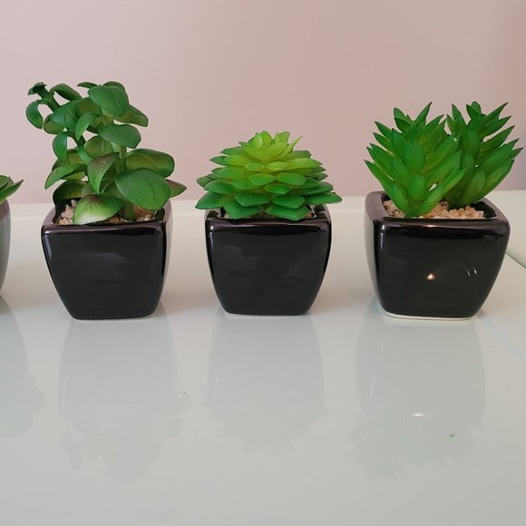Artificial Succulents - Picture 1 of 4